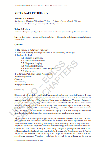 No preview available